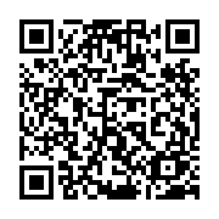 QR code for 161 LFU