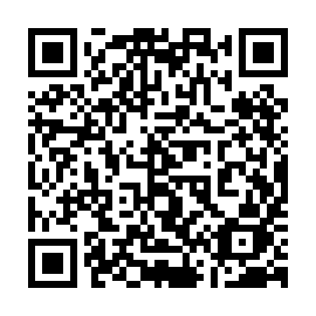 QR code for 161 PIJ