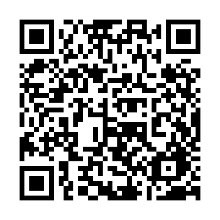 QR code for 161 XZG