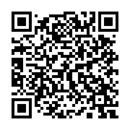 QR code for plate 161 DTO