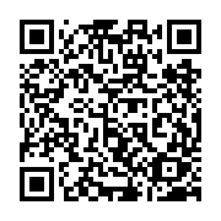 QR code for plate 161 GDX