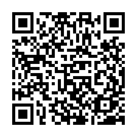 QR code for plate 161 LTQ