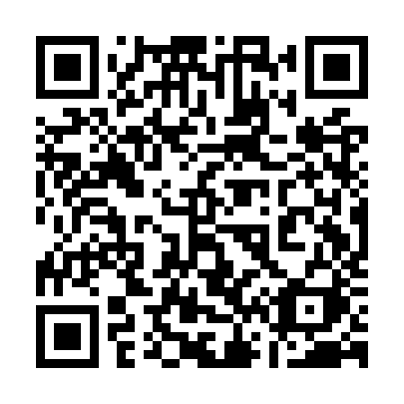 QR code for plate 161 OZI