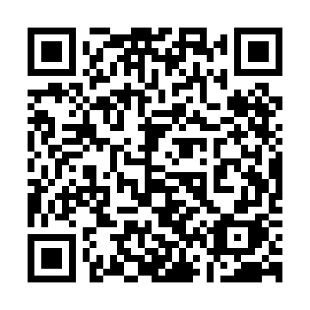 QR code for 161PGH