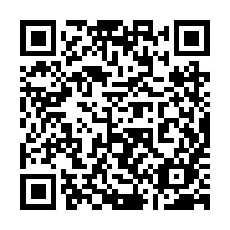 QR code for plate 161 RXM