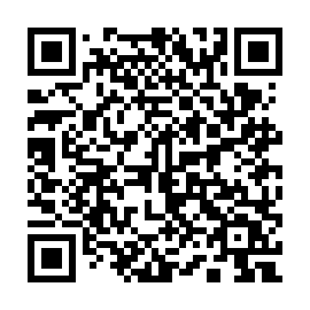 QR code for 163 FLT