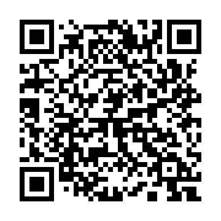 QR code for 163 IQD