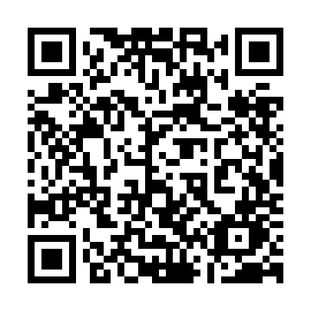 QR code for 163 ZON