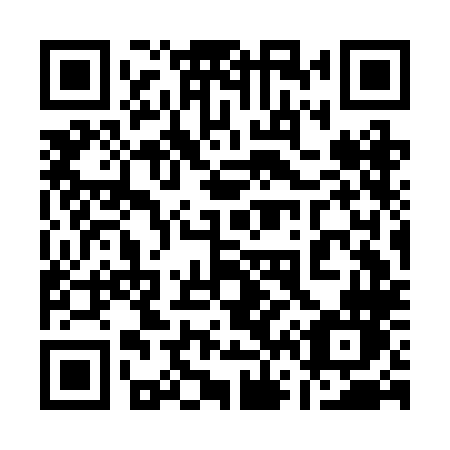 QR code for plate 163 BLN