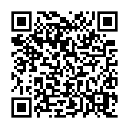 QR code for plate 163 GYT