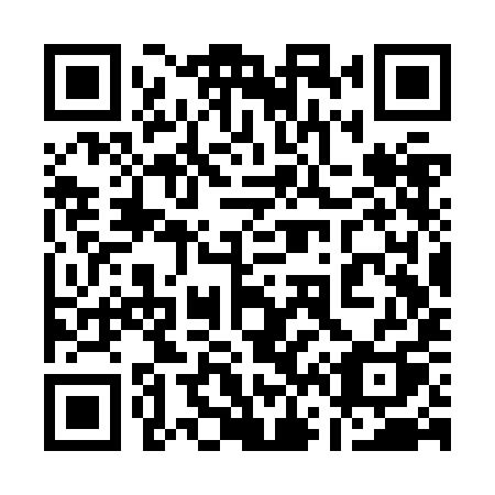 QR code for plate 163 ZIQ