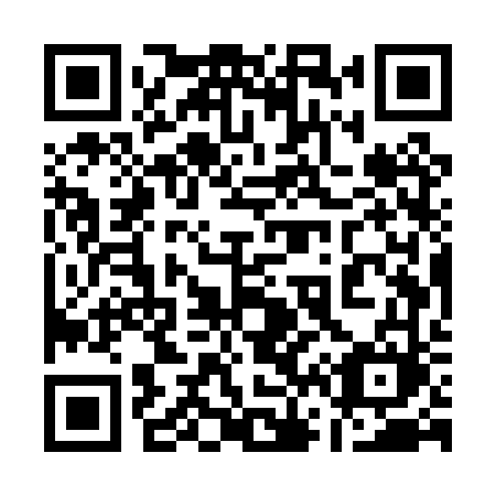 QR code for 165PVM