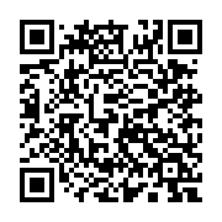QR code for plate 173 DLL