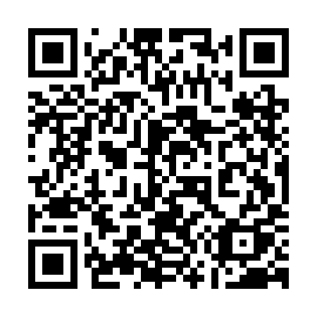 QR code for plate 175 CIQ