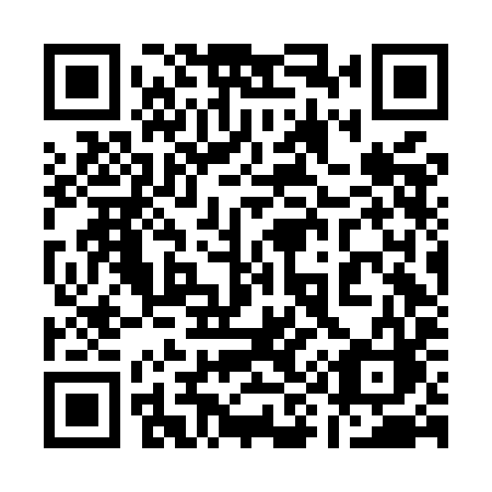 QR code for 196MIC