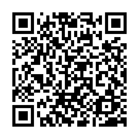QR code for plate 196 MSR