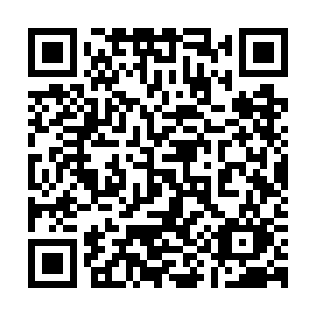 QR code for 196WCO