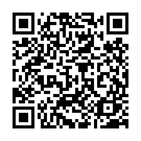 QR code for plate 198 DUS