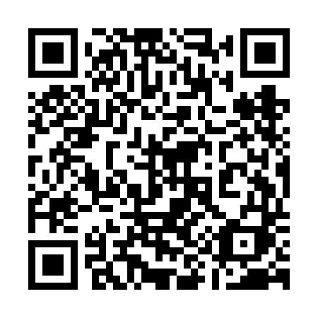 QR code for 199 FDI