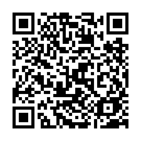 QR code for plate 199 GIE