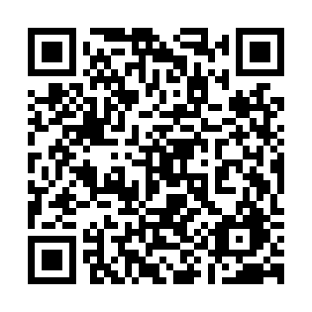 QR code for plate 199 LRG