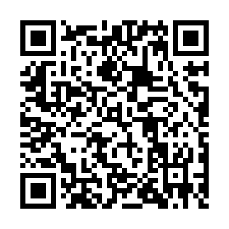 QR code for 1P4YS