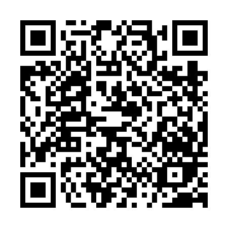 QR code for 1V1VD