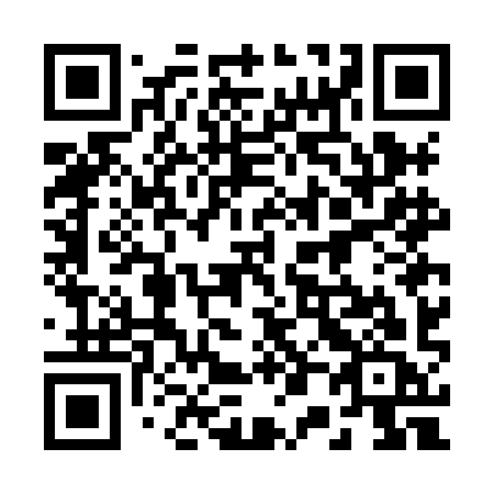 QR code for 207 HIC