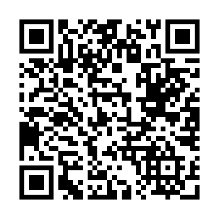 QR code for plate 207 FIE