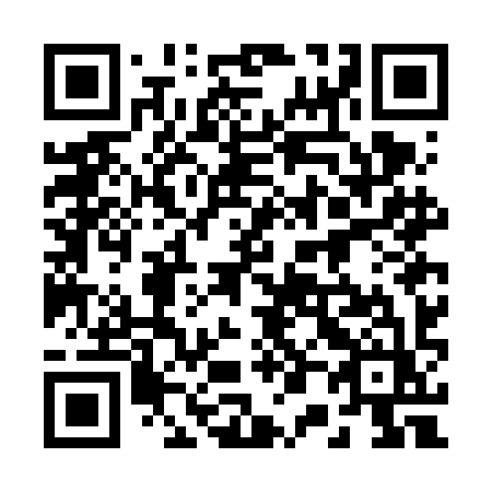 QR code for 207FIZ