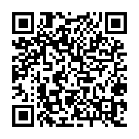 QR code for 207IMI