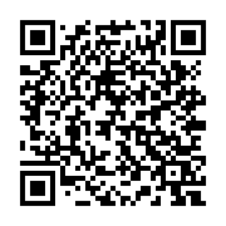 QR code for 208 ZNS