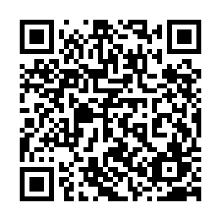 QR code for 209 AAV
