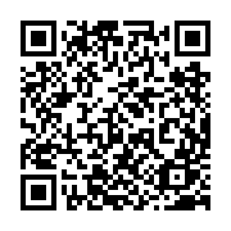 QR code for plate 210 WER