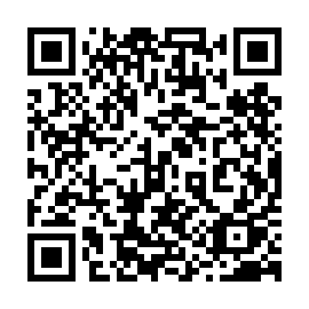 QR code for plate 211 TAP