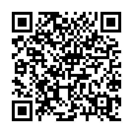 QR code for 217 HIE