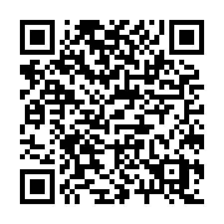 QR code for 217 HJX