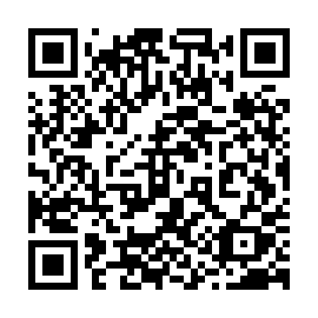 QR code for 217 HPY