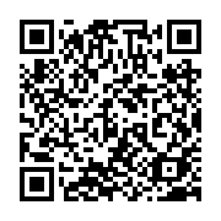 QR code for 217 RPI