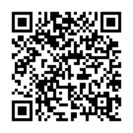QR code for 217 SHM