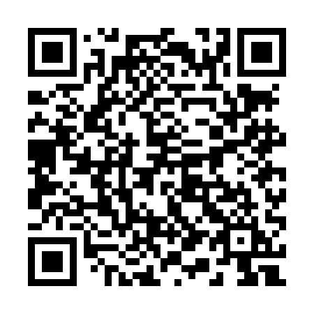 QR code for 217LAI