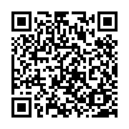 QR code for 223PKT