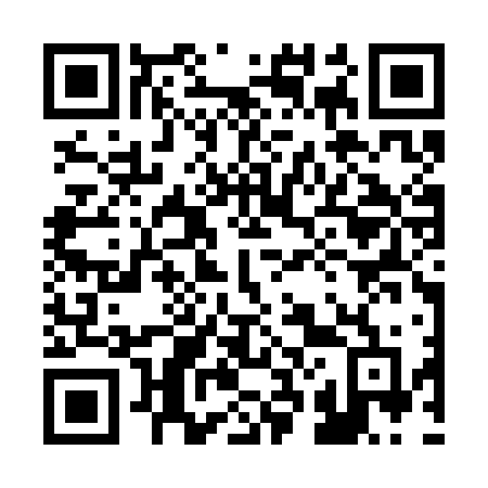 QR code for 223SFF