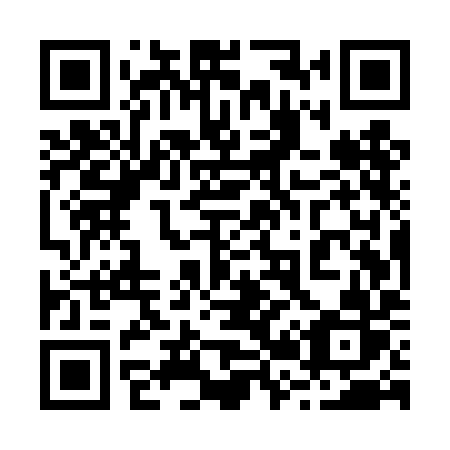 QR code for 225 TIR