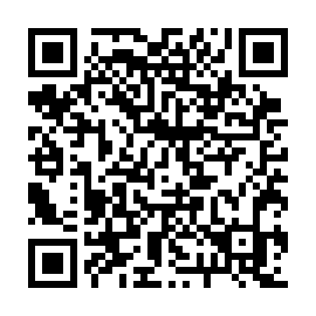 QR code for 225SFK