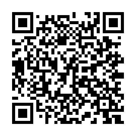 QR code for 228 PLI