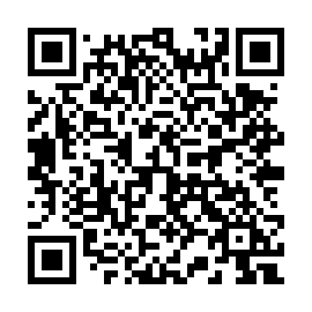 QR code for 228 TRI