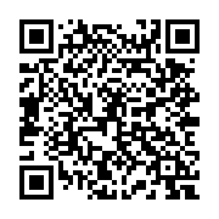 QR code for 228TZH