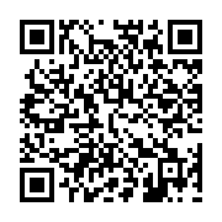 QR code for plate 228 ZLQ