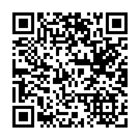 QR code for plate 229 NLO